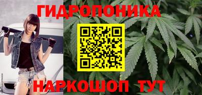 ПСИЛОЦИБИНОВЫЕ ГРИБЫ Кулебаки