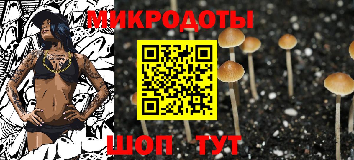 Псилоцибиновые грибы мухоморы Армавир